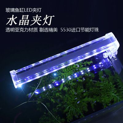 魚缸燈架有什么好處：魚缸燈架對魚類及水生生態(tài)系統(tǒng)的積極影響，魚缸燈架的好處