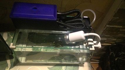 魚缸潛水泵怎么安：“魚缸潛水泵怎么安詳情”潛水泵故障排除方法