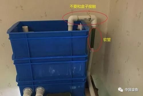 魚缸潛水泵怎么安：“魚缸潛水泵怎么安詳情”潛水泵故障排除方法