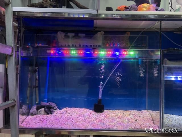 好魚缸不用換水嗎視頻講解（好魚缸不用換水嗎）