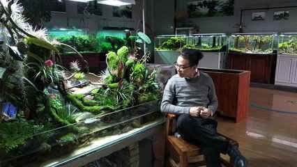 廣州魚缸造景培訓機構（廣州吳氏水草水族造景商貿有限公司水草造景培訓機構）