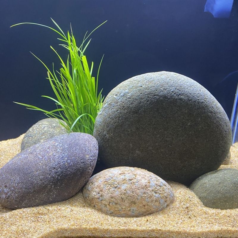 魚缸造景圖片大全鵝卵石（鵝卵石在魚缸造景中的多樣性和美麗）