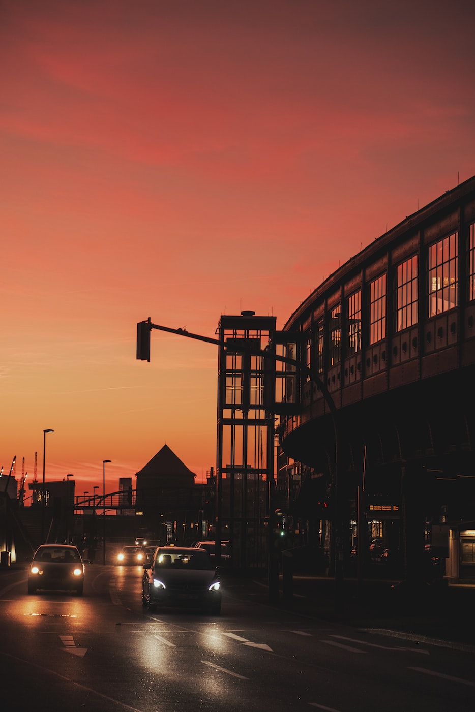 吳江區盛澤鎮盛盈水族店