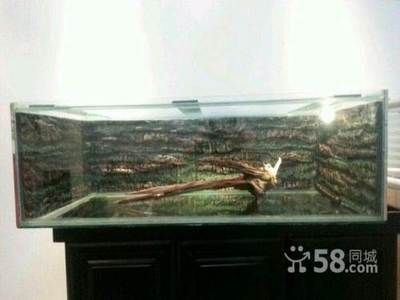 呼市賣魚缸的地方在哪里呀（呼和浩特幾個售賣魚缸的地方）