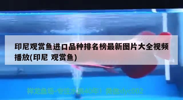 青島魚缸回收電話號碼查詢網址 青島魚缸回收電話號碼查詢網址