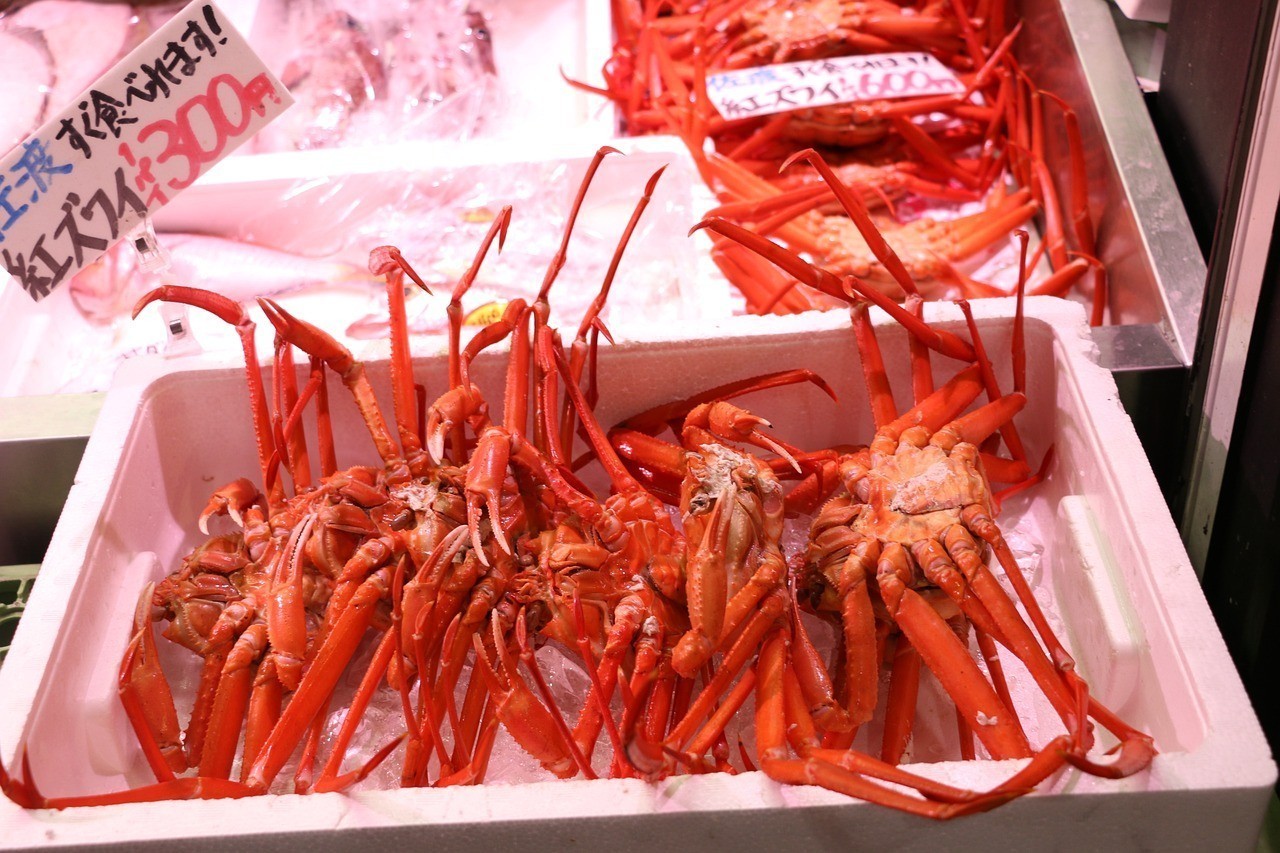 調兵山市慶玉觀賞魚養殖專業合作社（調兵山賣觀賞魚的地方）