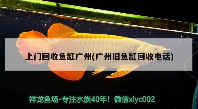紐利浦三元康水族器材系列