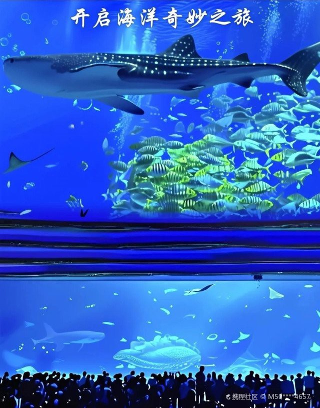 珠海水族館 龍魚世家水族館最佳