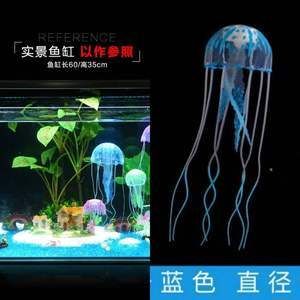 水母魚缸能活多久：水母魚缸能活多久水母魚缸飼養技巧有哪些