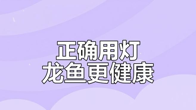 龍魚不同階段需要的光照強度是多少？