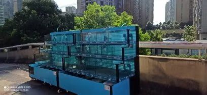 廣東魚缸生產廠家排名前十名魚缸生產廠家排名前十名：廣東魚缸生產廠家哪個牌子好