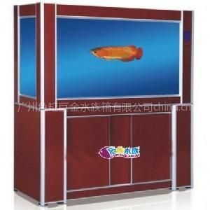 廣東魚缸生產廠家排名前十名魚缸生產廠家排名前十名：廣東魚缸生產廠家哪個牌子好