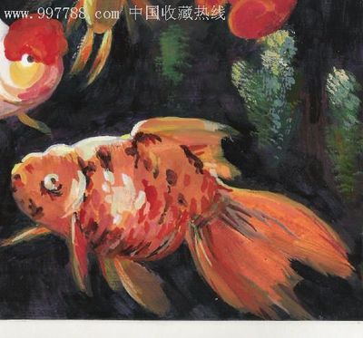 金龍魚水粉畫：金龍魚水粉畫教程