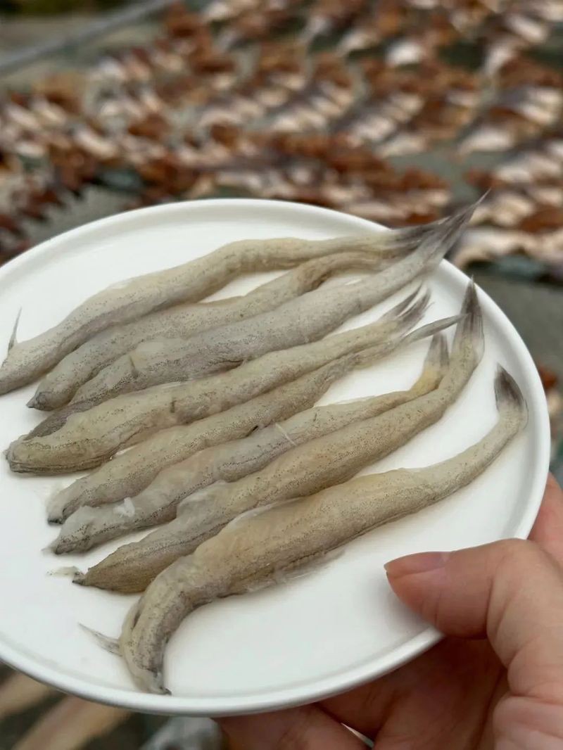 舟山龍魚酥怎么吃才好吃呢