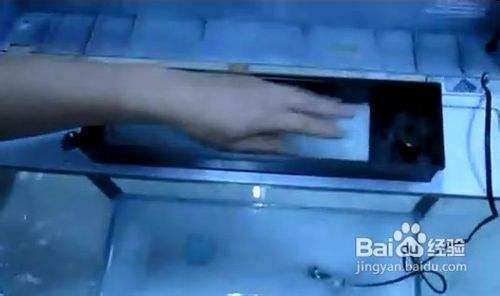 魚缸泵怎么拆開圖解：“魚缸泵怎么拆開圖解詳情”魚缸泵文字版拆卸步驟