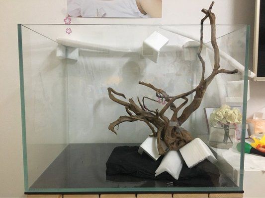 漢江的魚缸怎么樣：新漢江魚缸與森森對比評測