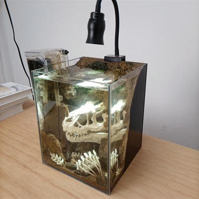 魚缸哪個牌子質量好 魚缸哪個牌子質量好 龍魚百科 第1張