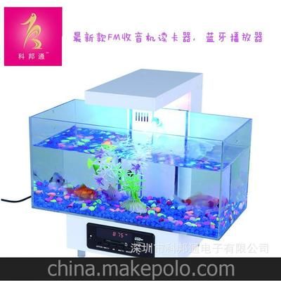 夢核電子魚缸多少錢：夢核電子魚缸價格