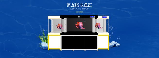 龍魚商城網站官網入口，龍魚商城網站