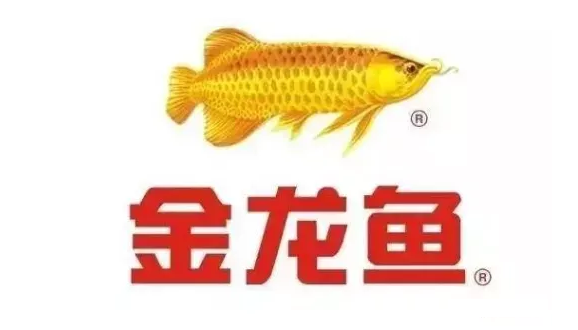 順慶區金升水族漁具行（<strong><mark>大渡口</mark></strong>升金魚莊）