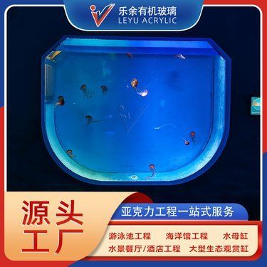 水母魚缸用什么好：水母魚缸如何選擇