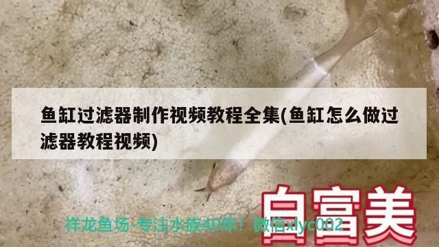 魚缸過濾器的制作視頻：如何自制魚缸過濾器
