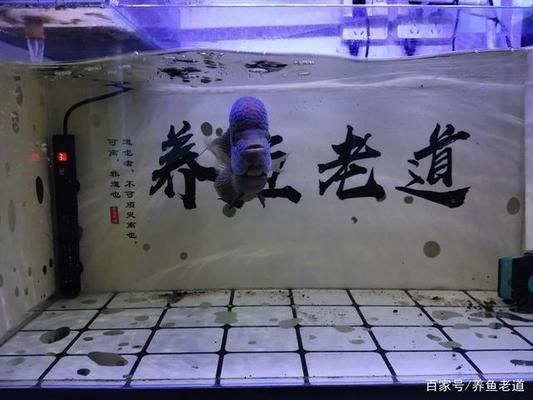 魚缸 懸浮物：影響魚缸懸浮物產生和分布的因素