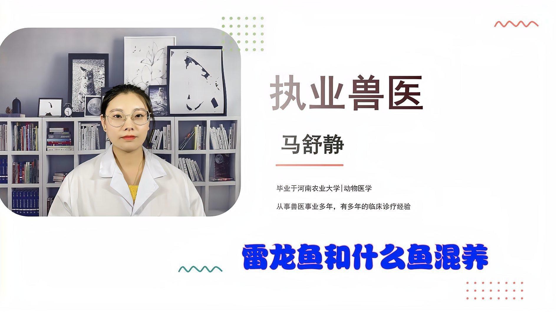 可以和雷龍魚混養的魚