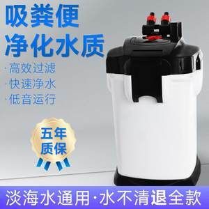 魚缸過濾器安裝圖：養魚新手入門指南魚缸過濾器安裝示意圖