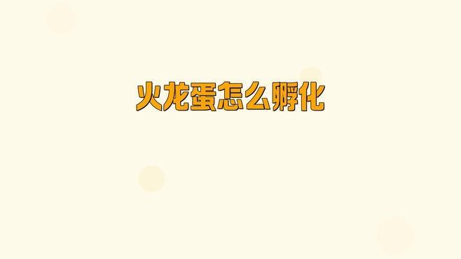 龍蛋的孵化過程是怎樣的？