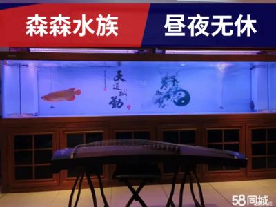 海鮮魚缸消毒方法：海洋生物學家眼中的魚缸消毒海洋生物學家眼中的魚缸消毒方法