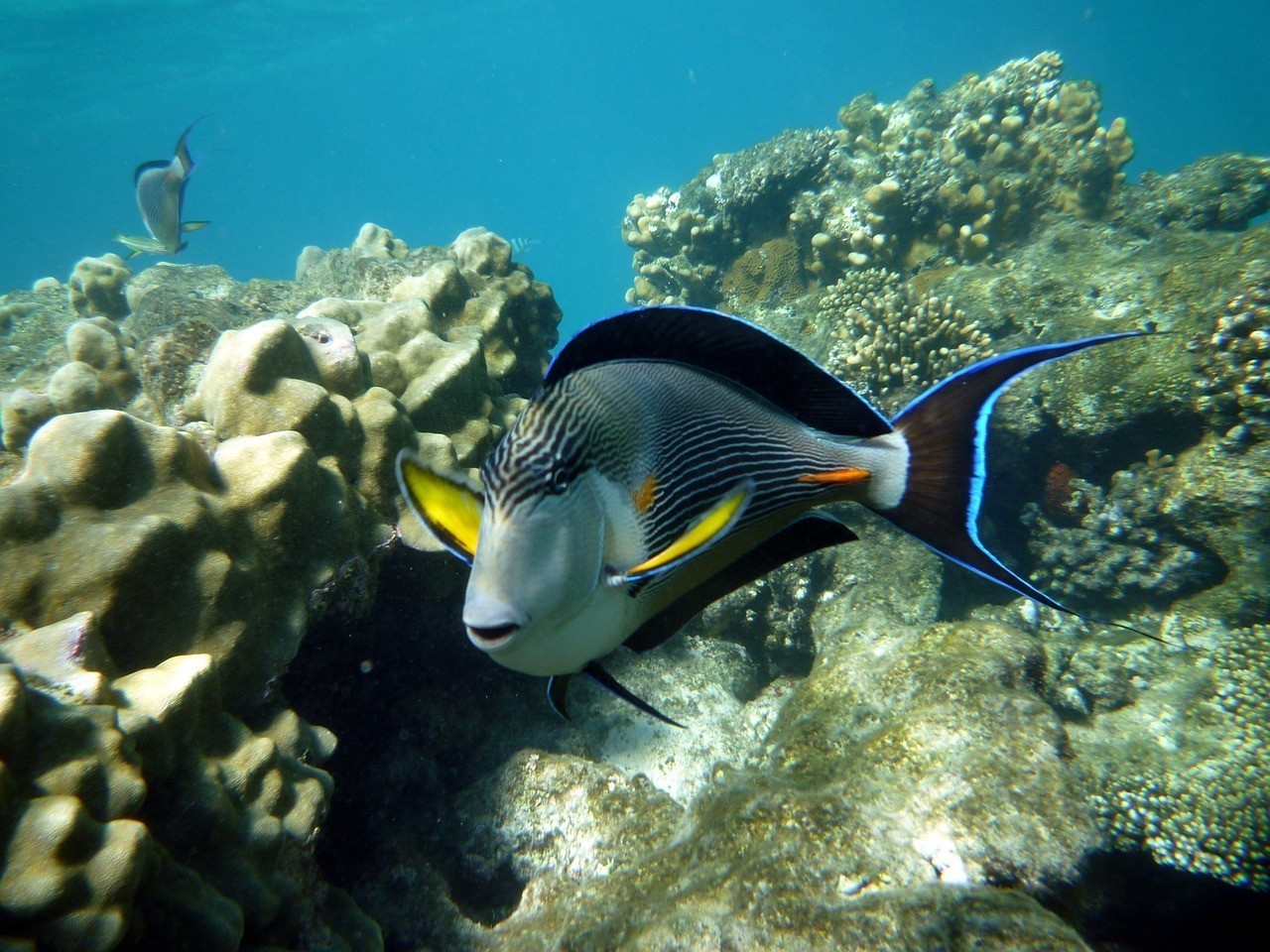廈門市湖里區超欣鋒水族館 （廈門市湖里區超欣鋒水族館電話號碼）