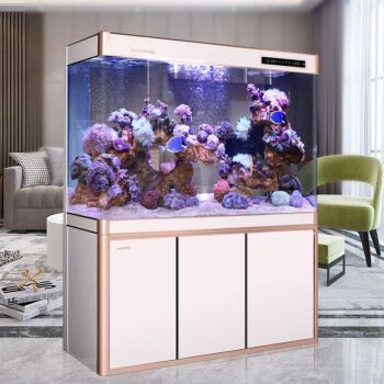 閩江魚缸是哪里產(chǎn)的魚：閩江魚缸與其他品牌的比較