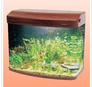 閩江魚缸是哪里產(chǎn)的魚：閩江魚缸與其他品牌的比較