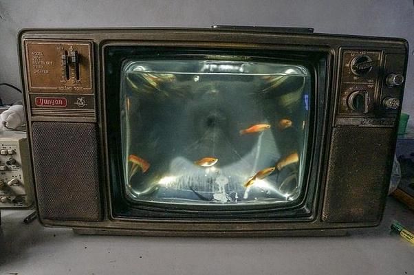 夢想魚缸:夢想魚缸的概念及其對個人心理健康的積極作用