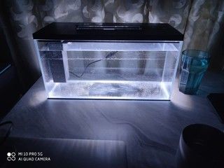 起源紀魚缸的問題：起源紀智能魚缸