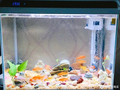 森森魚缸he480 森森魚缸he480 魚缸百科 第1張