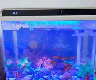 森森魚缸he480 森森魚缸he480 魚缸百科 第4張