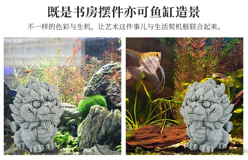 茶寵可以放魚缸里面嗎：茶寵可以放入魚缸中嗎