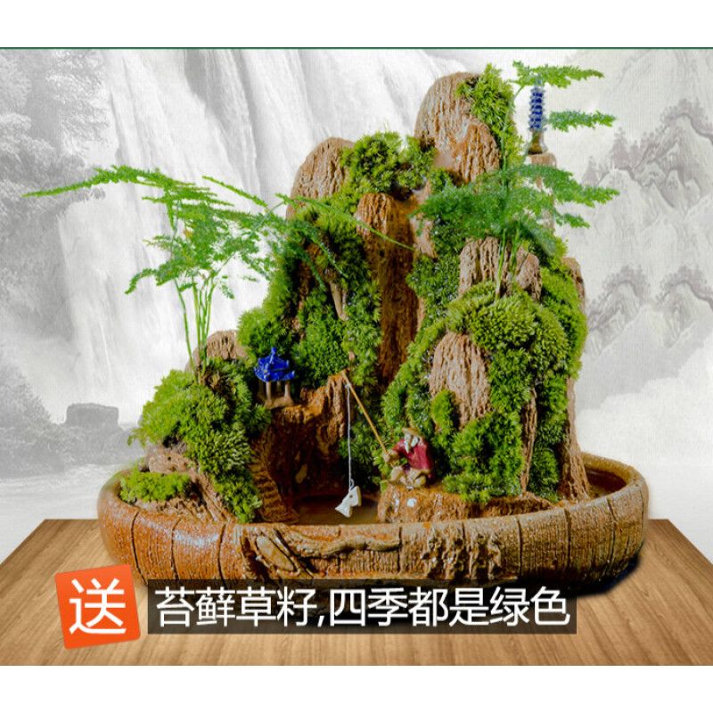 茶寵可以放魚缸里面嗎：茶寵可以放入魚缸中嗎