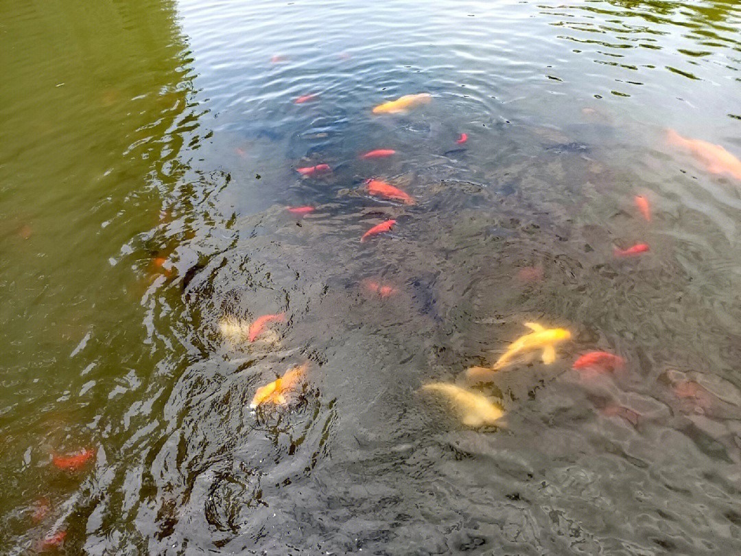 靖江市美亞特水族館（靖江市美亞特水族館地址）