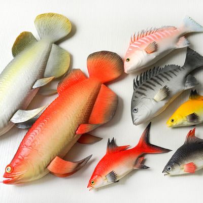 龍魚吃什么水果比較好：龍魚吃什么水果好
