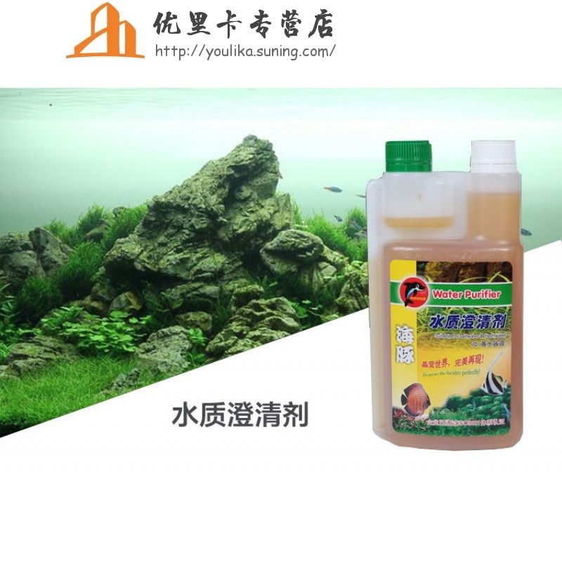 魚缸水質ph值是養魚過程中的一項重要任務：如何調節魚缸水質ph值