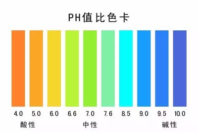 魚缸水質ph值是養魚過程中的一項重要任務：如何調節魚缸水質ph值