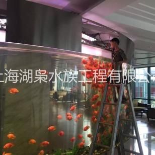 廣州有多家公司提供專業魚缸定做服務價格范圍從幾百元到上萬元不等：廣州定做魚缸價格