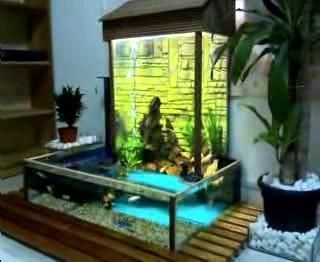 負壓魚缸百科（負壓魚缸是一種利用原理工作的魚缸是一種利用負壓原理工作的魚缸）