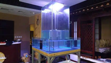 負壓魚缸百科（負壓魚缸是一種利用原理工作的魚缸是一種利用負壓原理工作的魚缸）