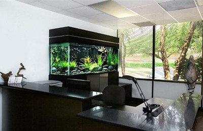 漳浦縣舞動(dòng)水族店（漳浦縣舞動(dòng)水族店地址）