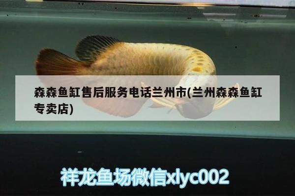 森森水族魚缸售后電話：森森水族魚缸售后電話信息