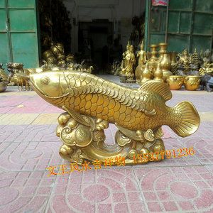 養紅龍魚多久換一次水：養紅龍魚多久換一次水并非一概而論